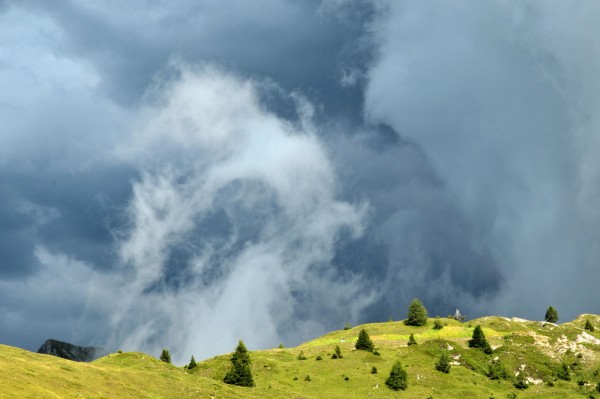 DSC_2631.JPG (163.88 Kio) Vu 17801 fois DSC_2631.JPG