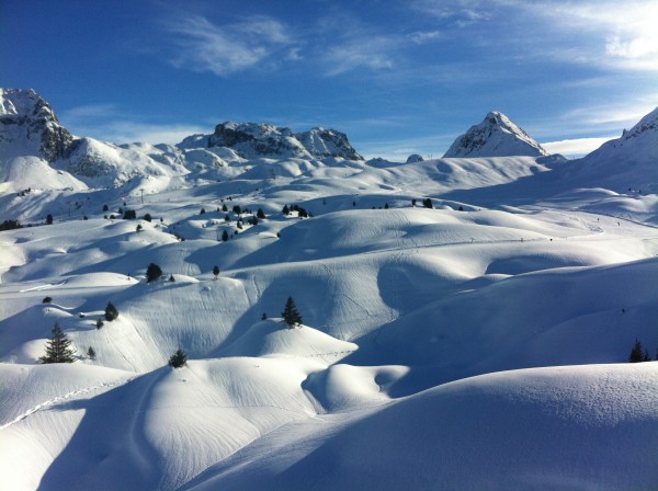 IMG_1223.JPG (1.93 Mio) Vu 17514 fois IMG_1223.JPG