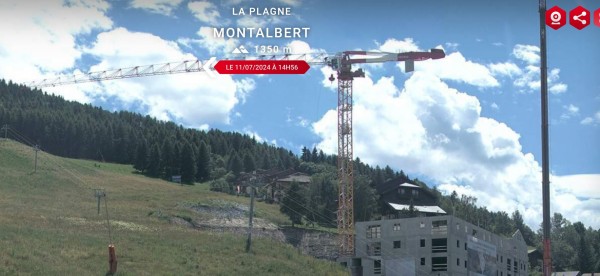 Grue.JPG