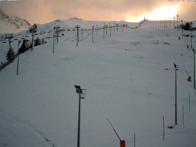 araucaria1_MEGA.jpg (237.79 Kio) Vu 17278 fois araucaria1_MEGA.jpg