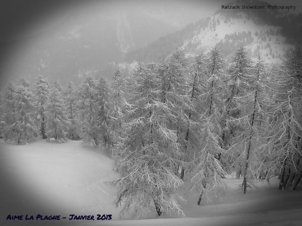 P1010907.JPG (851.17 Kio) Vu 20548 fois P1010907.JPG