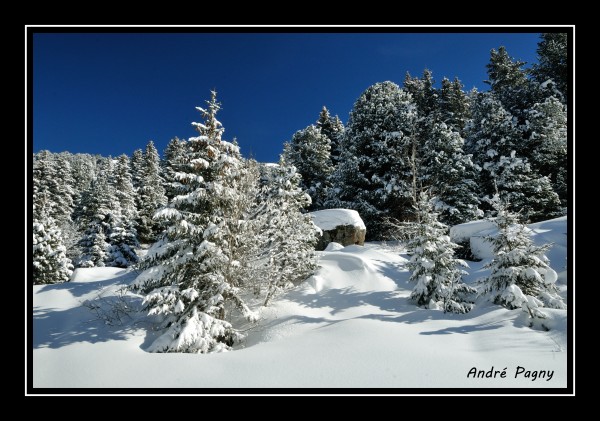 DSC_1054b.jpg