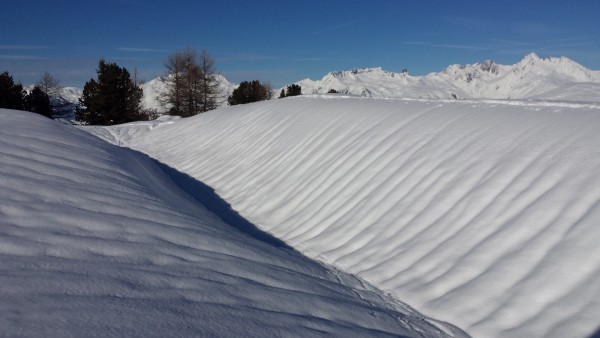 20180106_130939.jpg (2.72 Mio) Vu 36952 fois 20180106_130939.jpg