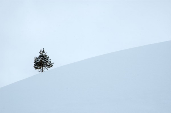 DSC_8802_modifié-1.JPG