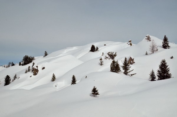 DSC_5966.JPG