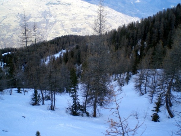 CIMG9885.JPG