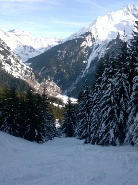2012-12-31-302.jpg
